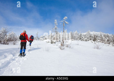 Winterwandern auf Mount Cardigan in New Hampshire Clark Trail Kanaan NH Stockfoto