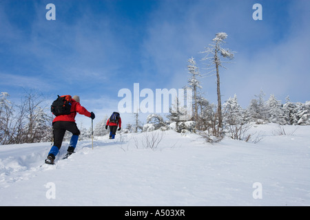 Winterwandern auf Mount Cardigan in New Hampshire Clark Trail Kanaan NH Stockfoto