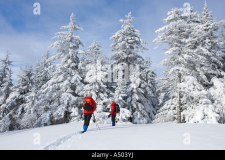 Winterwandern auf Mount Cardigan in New Hampshire Clark Trail Kanaan NH Stockfoto