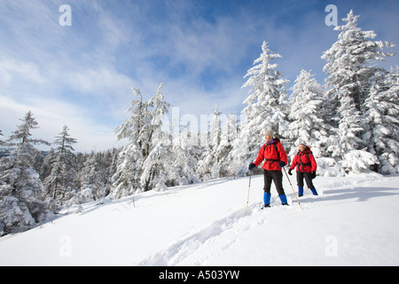 Winterwandern auf Mount Cardigan in New Hampshire Clark Trail Kanaan NH Stockfoto