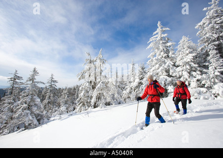 Winterwandern auf Mount Cardigan in New Hampshire Clark Trail Kanaan NH Stockfoto