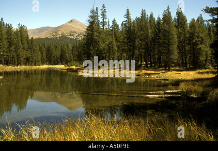 TIOGA LAKE TIOGA PASS YOSEMITE NATIONALPARK SIERRA NEVADA KALIFORNIEN Stockfoto