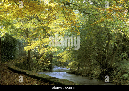 WANDERWEG DURCH HERBST FARBEN WALLISER TAL ENGLAND Stockfoto