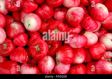 Hue Markt Dong Ba Markt Vietnam Süd-Ost-Asien vietnamesische Wachs Jambu orient orientalische Stockfoto