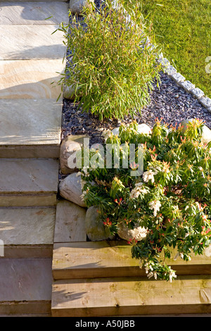 EIN SANDSTEIN GARTENWEG IM FRÜHJAHR Stockfoto