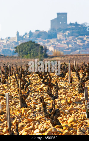 Das Weingut Chateau des Geldbußen Roches Grenache-Reben und Boden steinig felsigen Galet mit Blick über das Dorf Châteauneuf-du-Pape, Vaucluse, Rhône, Provence, Frankreich Stockfoto