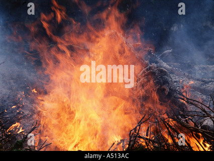 Feuer Stockfoto