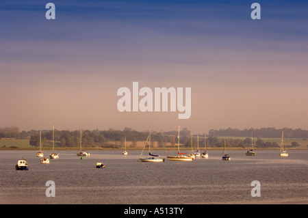 Boote bei Flut am Fluss Stour an Manningtree Essex und Suffolk Grenze England UK Stockfoto