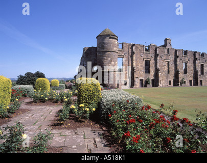 Blühende Rosen in den Gärten an der Ruinen des Blackness Castle Geplante antiken Monument in der Pflege des Historischen Schottland mit Firth von weiter entfernten Falkirk GROSSBRITANNIEN Stockfoto