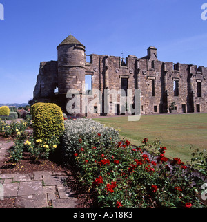 Rote Rosen im Garten neben historischen Steinruinen des South Quarter im Royal Renaissance Falkland Palace Gebäude in Falkland Fife Schottland UK Stockfoto