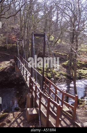 Fußgängerbrücke über den Fluß Teign unterhalb Jägerss Tor und Castle Drogo am Rande des Dartmoor Stockfoto