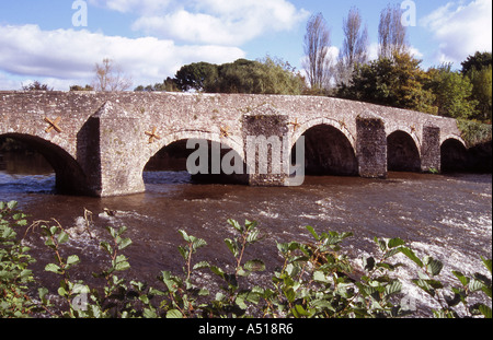Bickleigh Brücke über dem Fluß Exe, Devon Stockfoto