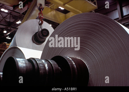 Papierrollen in Papierfabrik Stockfoto