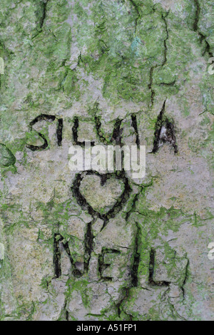 Liebhaber Namen geschnitzt auf Baumstamm mit Herz Stockfoto