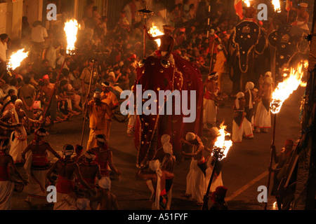 Fackelträger und ein Elefant in das große Kandy Esala Perahera Festival in Kandy, Sri Lanka Stockfoto