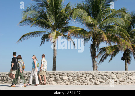 Miami Beach, Florida, Ocean Drive, Lummus Park, Serpentine Path, Ufermauer, Oolith-Korallenfelsen, Paar, Erwachsene, Erwachsene, Touristen, Palmen, Besucher reisen auf Reisen Stockfoto