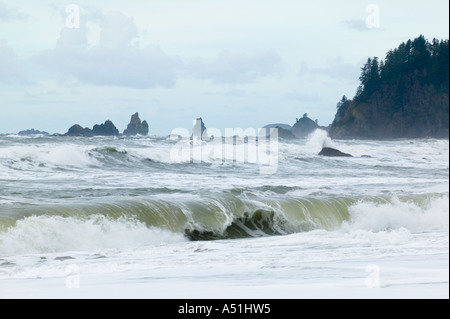 Pazifischen Ozean im Winter an der Rialto Beach Washington USA Stockfoto