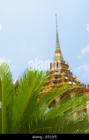 Stupa und Palmen Bäume Wat Phra Kaew in der Nähe von Royal Grand Palace Bangkok Thailand Stockfoto