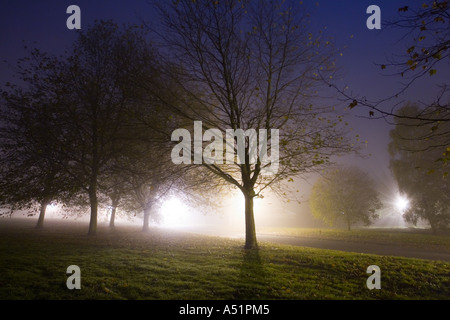 eine Nacht und Nebel in das Dorf große Barton, in Suffolk, UK Stockfoto