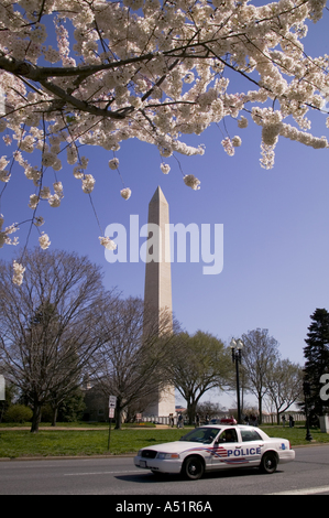 Independence Avenue Verkehr und das Washington Monument während der jährlichen Kirschblütenfest in Washington DC USA Stockfoto