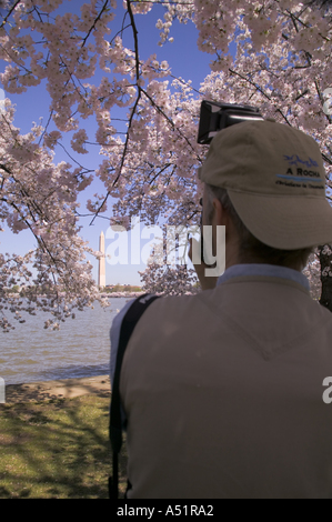 Fotografen unter Bild der rosa Kirschblüten am Rand des Potomac River Tidal Basin Washington DC USA Stockfoto