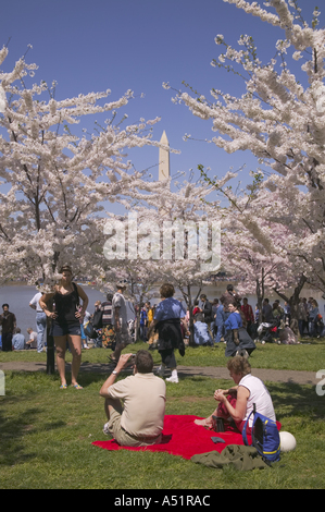 Menschen drängen sich den Gehweg unter rosa Kirschblüten am Rand des Potomac River Tidal Basin Washington DC USA Stockfoto