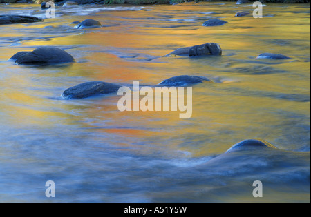 Jamaika VT Herbstfarben spiegeln in der West River Jamaika State Park Stockfoto