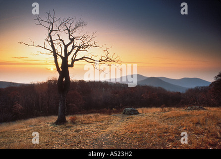 Sonnenaufgang von Skyline Drive mit Blick auf alte Rag Mountain Shenandoah Nationalpark Virginia Stockfoto