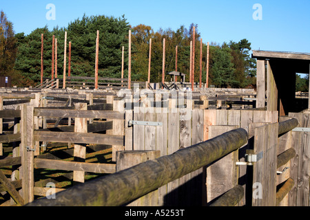 Salesyard in Beaulieu Road Station die New Forest Nationalpark Hampshire England Stockfoto
