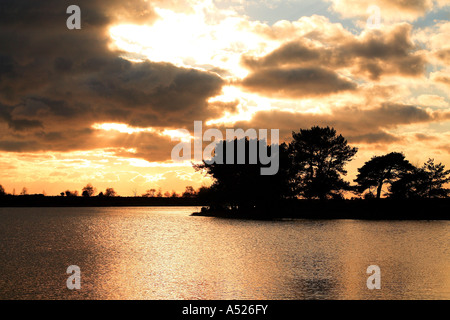 Beil Teich der New Forest Nationalpark Hampshire England Stockfoto