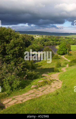 England, Grafschaft Durham, River Tees. Der River Tees und den North Pennines, stromabwärts von der hohen Kraft fällt in der Grafschaft Durham. Stockfoto