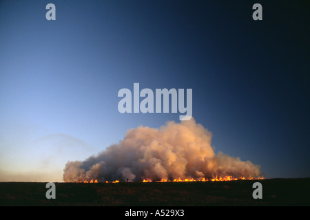 Rauch steigt aus der Verbrennung von Heidekraut moorland Stockfoto