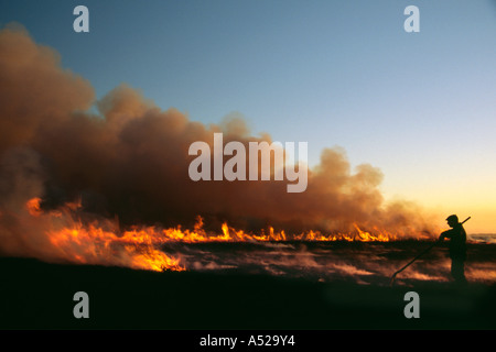 Wildhüter beobachten Rauch aufsteigt aus der Verbrennung von Heidekraut moorland Stockfoto