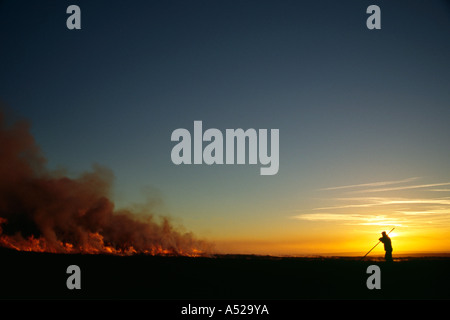 Wildhüter Silhouette gegen späten Nachmittag Sonne beobachten Rauch aufsteigt aus der Verbrennung von Heidekraut moorland Stockfoto