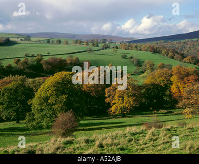 Sandholme Stirn aus Storiths, in der Nähe von Bolton Abbey, Wharfedale, Yorkshire Dales National Park, North Yorkshire, England, UK. Stockfoto
