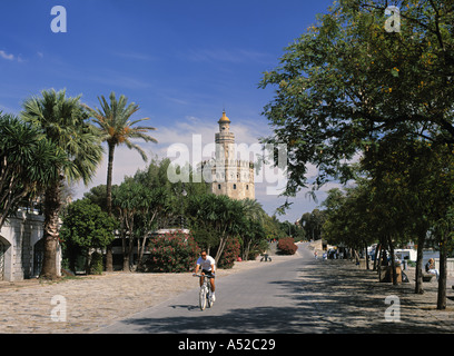 Torre del Oro, Sevilla, Spanien Stockfoto