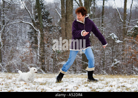 Applying Frau spielt mit West Highland Terrier Welpen In die Snow Harrison County Indiana Stockfoto