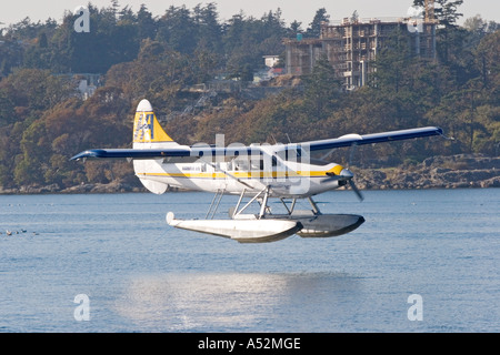 De Havilland Canada DHC3 Turbo Otter Wasserflugzeug landet im Victoria Harbour Stockfoto