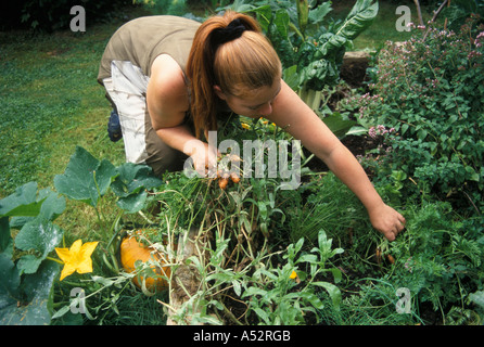 Frauen arbeiten in ihrem Garten Pflanze Stockfoto