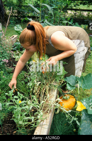 Frauen arbeiten in ihrem Garten Pflanze Stockfoto