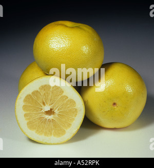 Gesamte geschnittene Obst aus eine Hybride zwischen Pampelmuse x Grapefruit Sorte Orobanco oder Sweetie Stockfoto