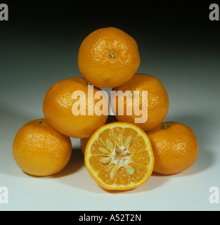 Ganze und geschnittenen Zitrusfrüchten Clementine Vielzahl Monreal Stockfoto
