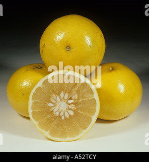 Ganze und geschnittenen Grapefruit Obst Variey Duncan Stockfoto
