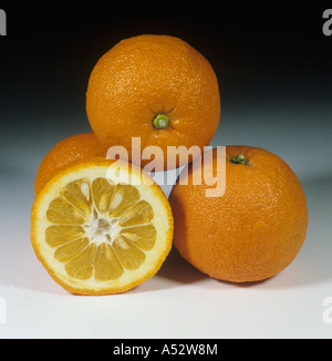 Ganze Frucht bitter saurer oder Sevilla Orange Citrus Aurantium geschnitten Zitrus Unterlage Stockfoto