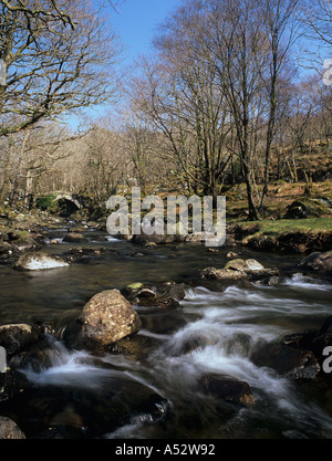 AFON ARTRO und alte STEINERNE Brücke im Waldtal in Snowdonia "National Park" im zeitigen Frühjahr Cwm Bychan Gwynedd Wales UK Stockfoto