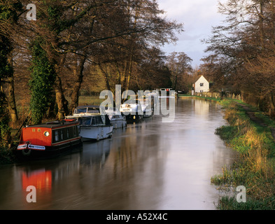 VERTÄUT NARROWBOATS auf den WEY NAVIGATION in der Nähe Triggs Sperre. Sutton grün Surrey England UK Großbritannien Stockfoto