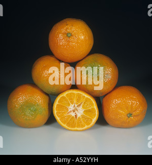 Ganze Abschnitte unterteilten Clementine Obstsorte Hernandina Stockfoto