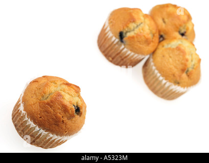 Frisch gebackene Einzelnen Blueberry Muffin Kuchen Isoliert gegen einen weißen Hintergrund mit keine Menschen und einen Freistellungspfad Stockfoto