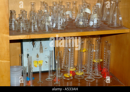 Glas Flaschen Becher Zylinder auf Regalen in Biologie Schulklasse Stockfoto