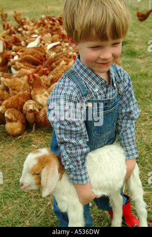 3 Jahre alter Junge trägt feed eine drei Woche alte Ziege geboren am Bauernhof freilaufenden Hühnern hinter ihm Stockfoto